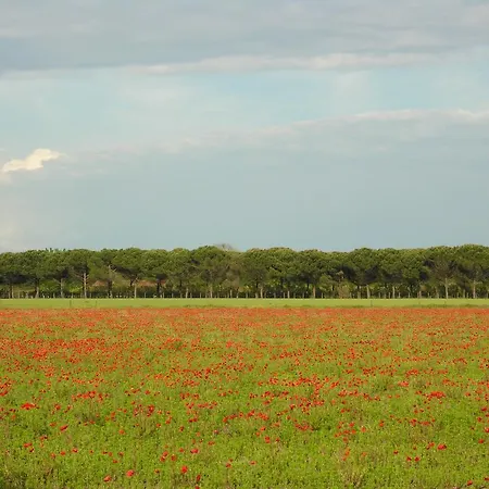Pioppi * Bibione